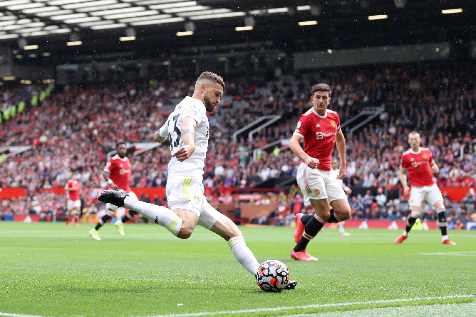 而近年来 而近年来